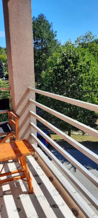Apartman Lux Sneznik Vrnjacka Banja Exterior photo